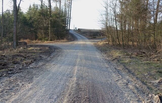 Lörmecketurm - geradeaus Plackweg, rechts direkter Weg zum Turm, März 2022